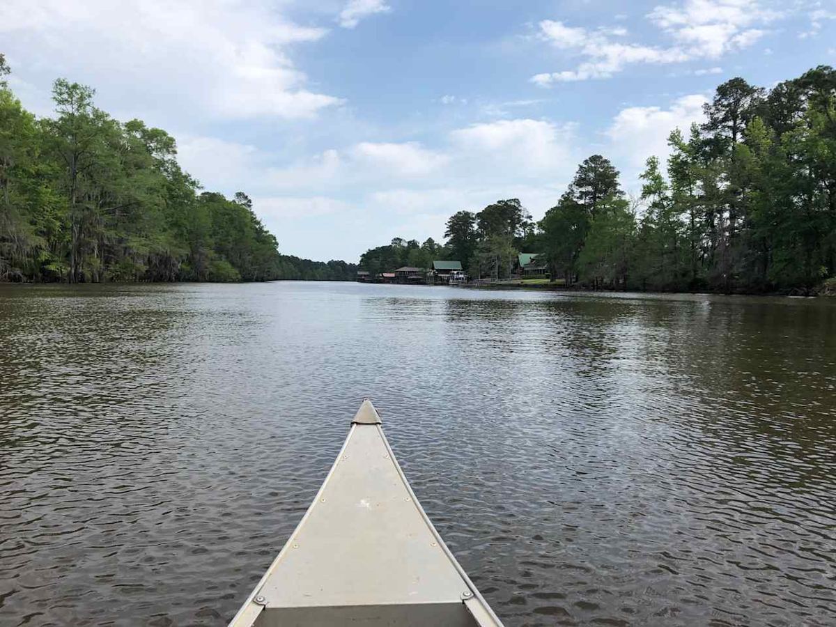 View of Caddo Lake, Texas