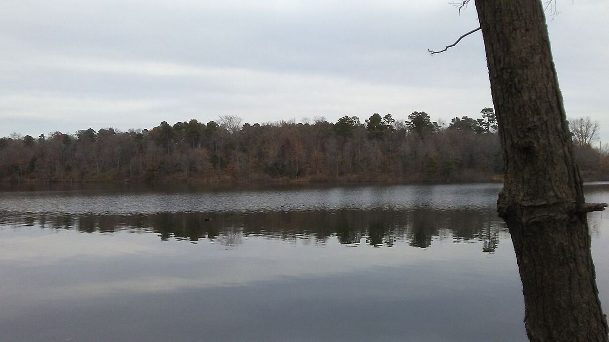 View of Lake Bob Sandlin, Texas