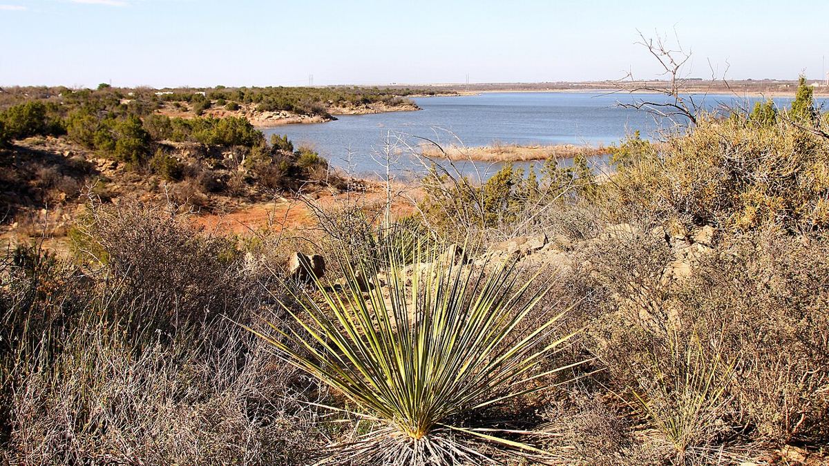 View of Lake Colorado City, Texas