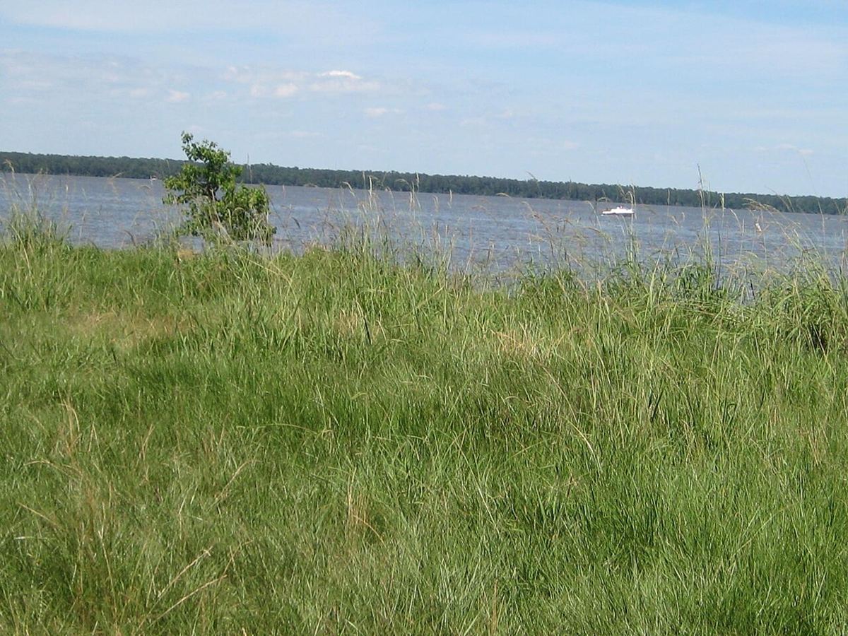 View of Lake Houston, Texas