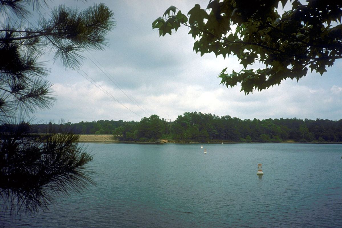 View of Lake O the Pines, Texas