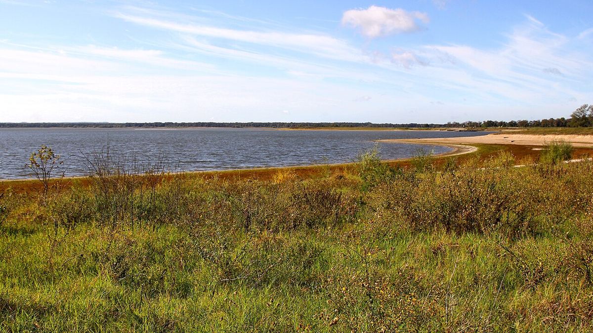 View of Somerville Lake, Texas